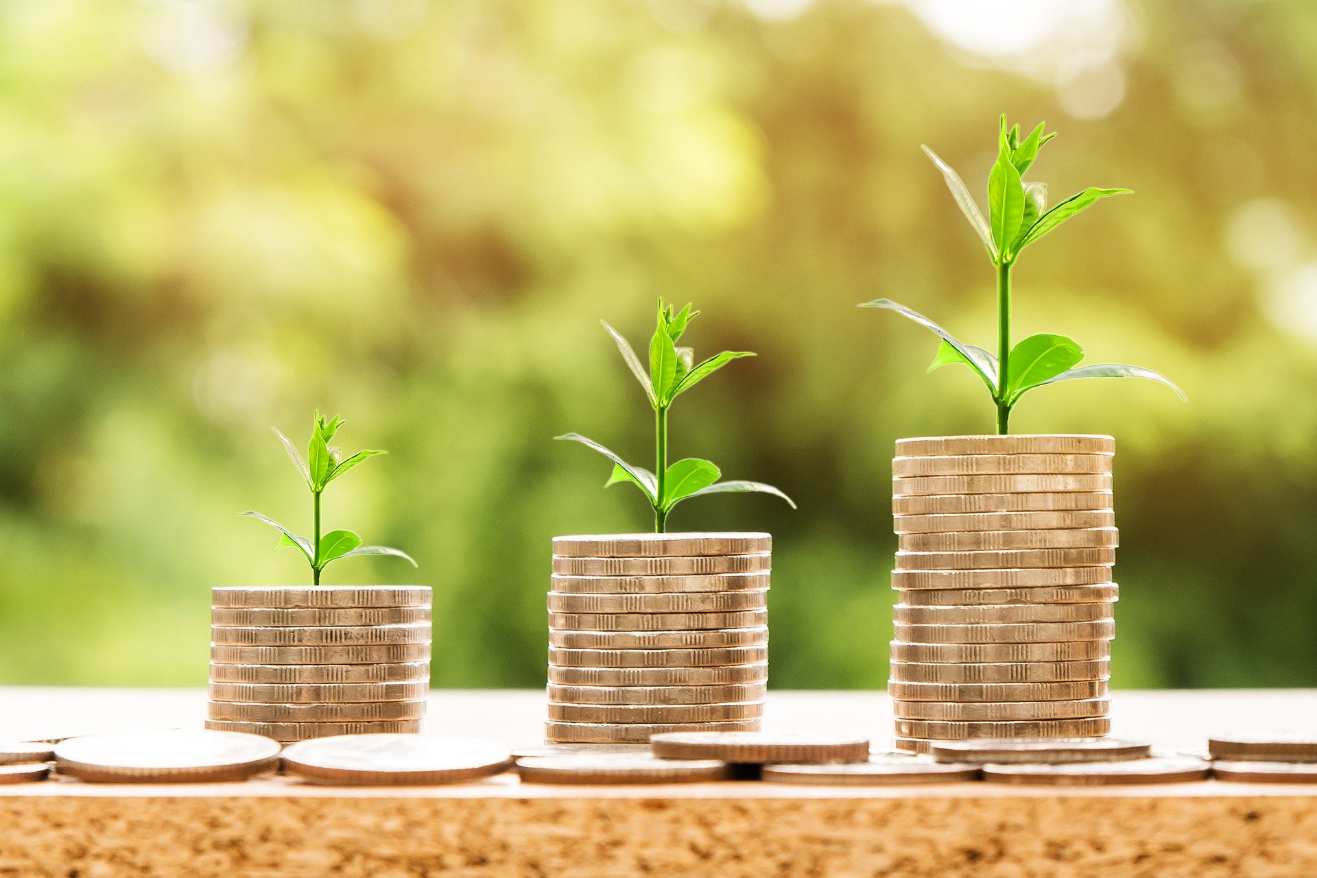 3 stacks of coins, each larger than the last, with a small plant growing from them meant to represent savings growth