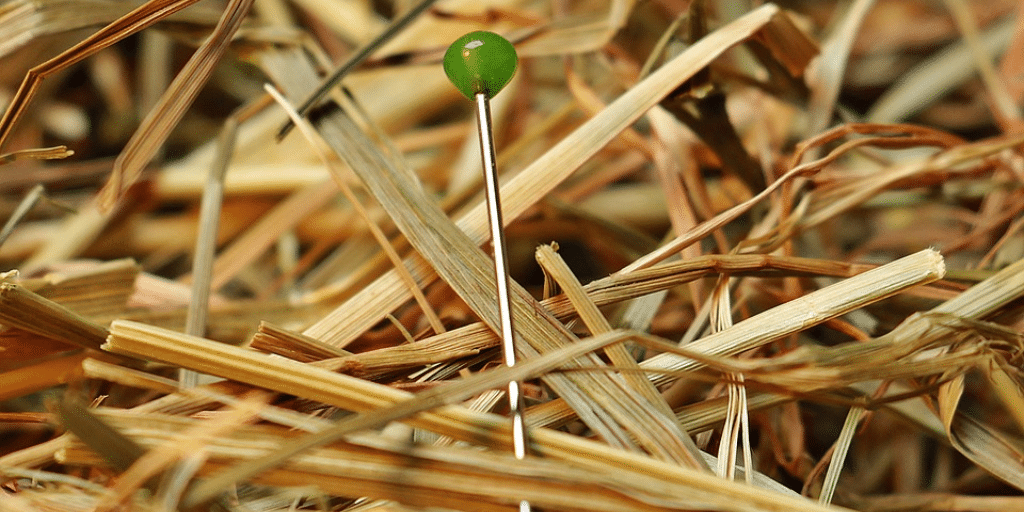 A needle in a haystack