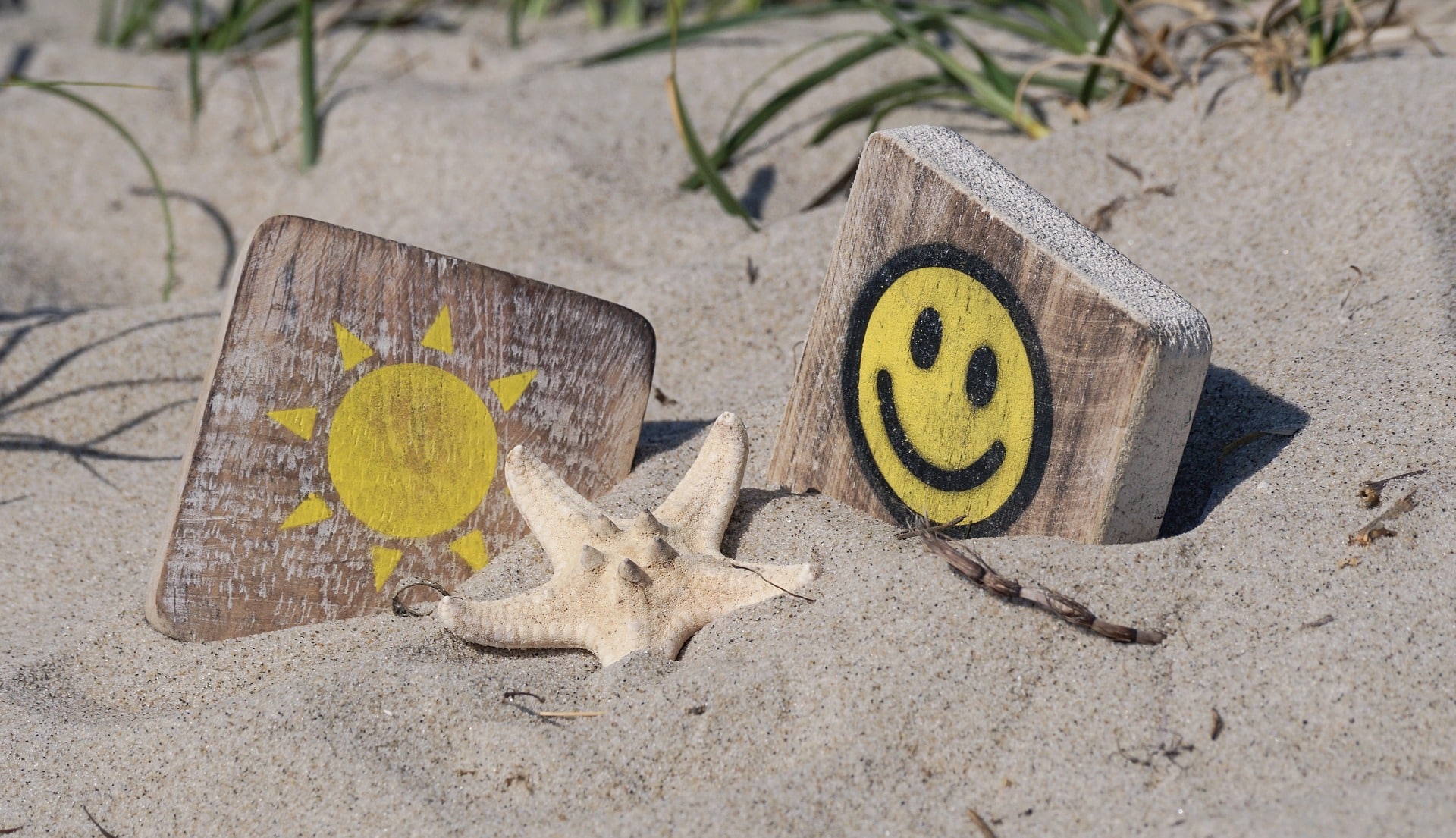 Two wooden blocks that have a sun and smiley face painted on them, in the sand surrounding a sea shell, representing summer fun