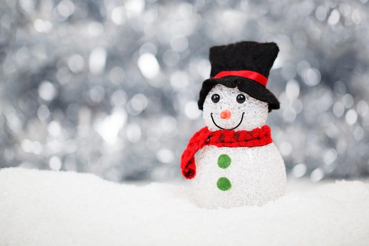 small smiling snowman with a snowy backdrop
