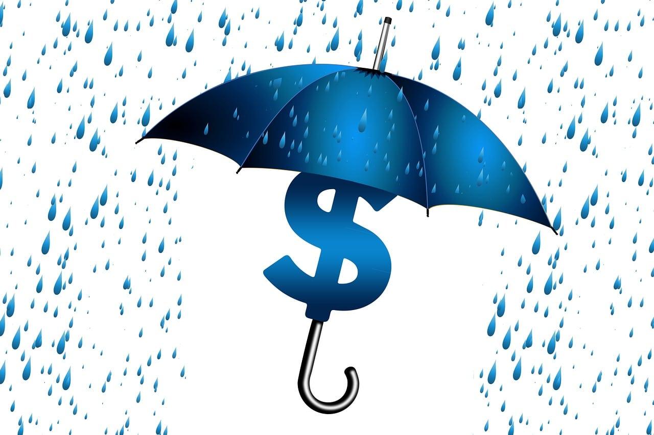 An image of an umbrella protecting a dollar sign in a rain storm